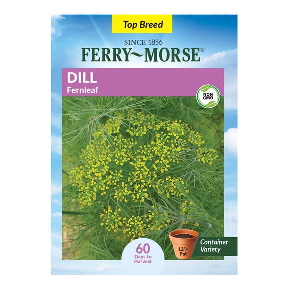Ferry-Morse 230MG Dill Fernleaf Annual Herb Seeds, Full Sun
