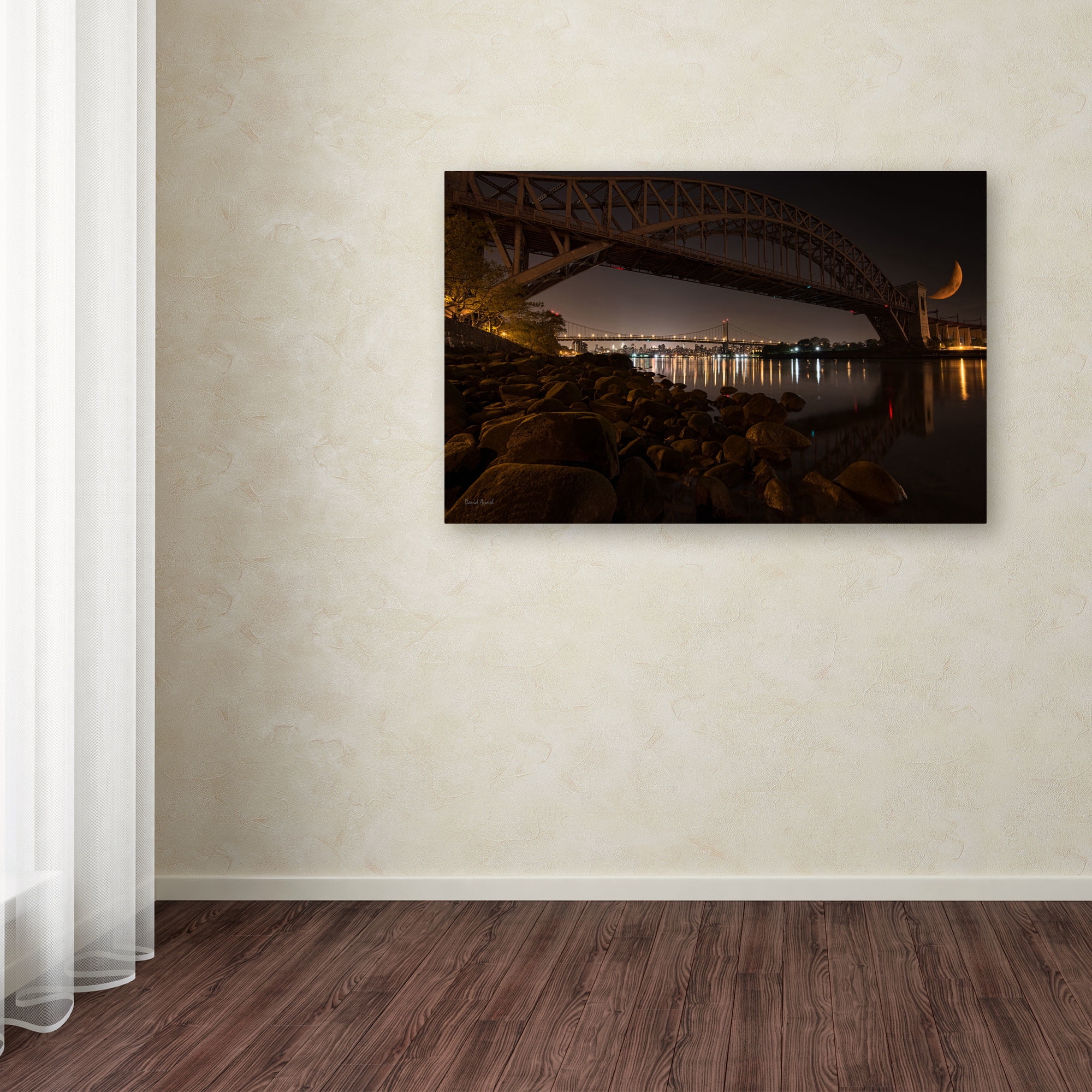 Trademark Fine Art "Hells Gate and RFK Bridge - NYC" Canvas Art by David Ayash