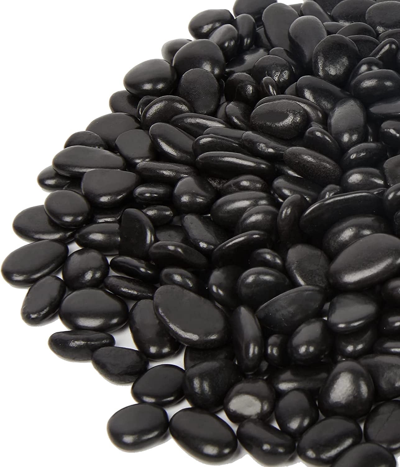 Black10lb
