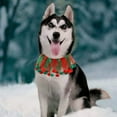 thumbnail image 3 of Adornos navideños para mascotas, collar rojo y verde, vestido festivo ajustable para gatos y perros Sailing Electrónica, 3 of 4