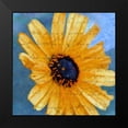 thumbnail image 2 of Greene, Taylor 12x12 Black Modern Framed Museum Art Print Titled - SCRIPTED WILD SUNFLOWER I, 2 of 5