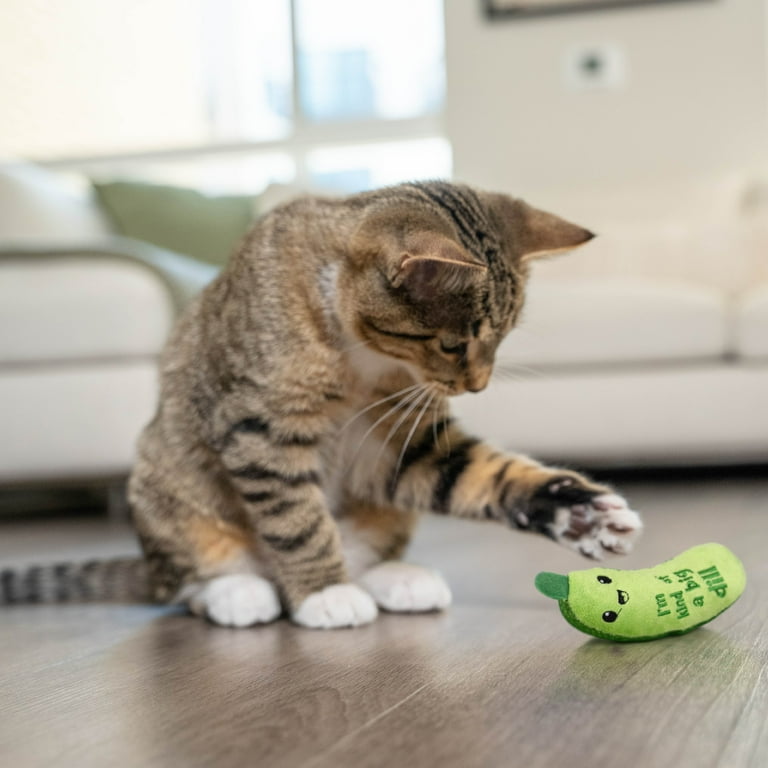 Catstages Crunchy Pickle Kicker Dental Catnip Cat Toy - Walmart.com
