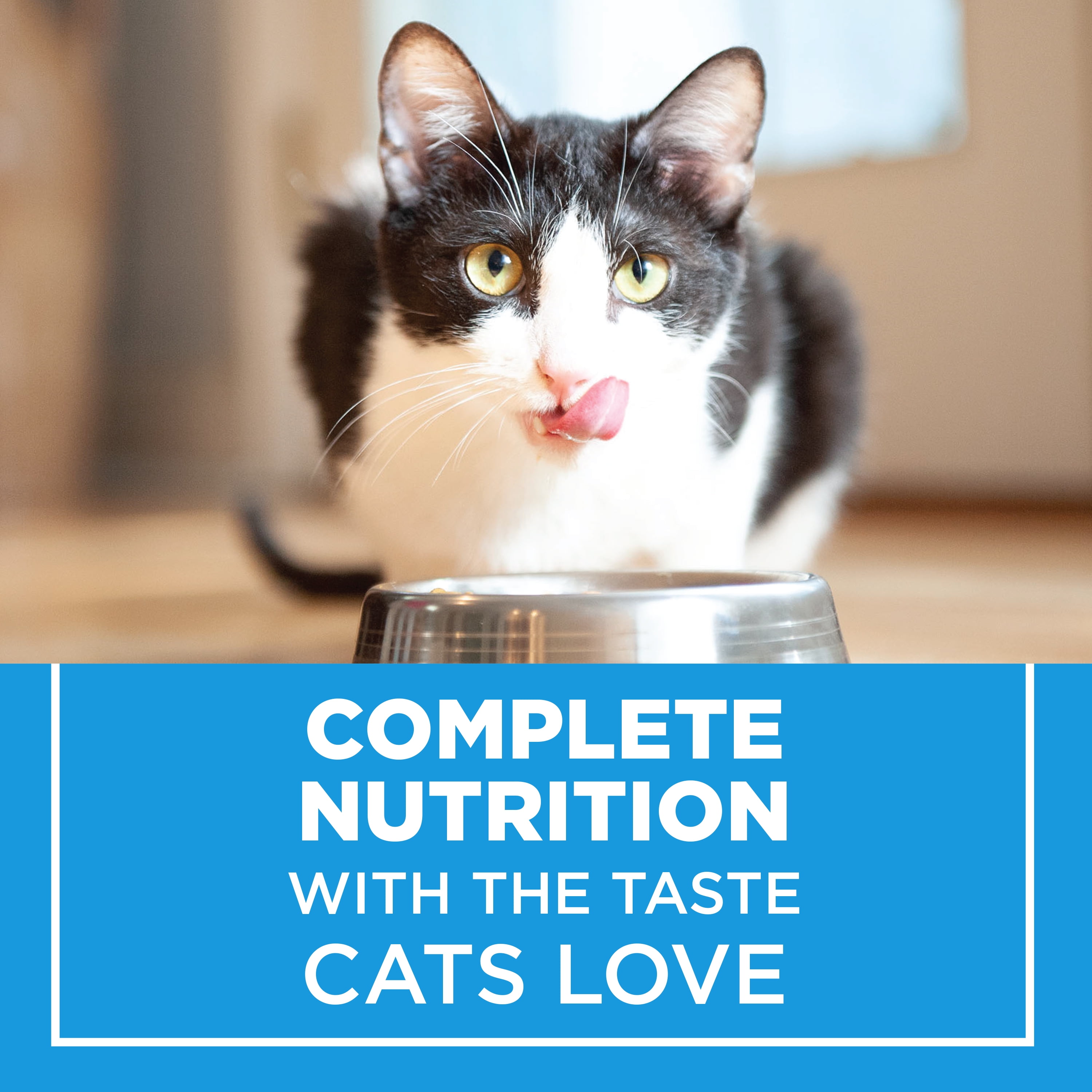 Purina cat chow 16 lb 2025