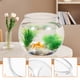 thumbnail image 3 of BRIGHTFUFU Tanque de acuario transparente, tanque Betta multifunción, tanque de peces dorados de escritorio, decoración de oficina, 3 of 7