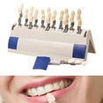 Teeth Whitening Shade Guide 29 Colors Comparison Individually Removable