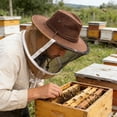 thumbnail image 3 of Ywmsfl Apiary Worker Hat Having Wide Brim And Spacious Design To Remain Comfortable In Sunlight When Caring For Bees, 3 of 8