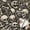 Colourful1, variant on Gothic Skull Floral Wallpaper Vintage Aesthetic Peel and Stick Wallpaper Waterproof Contact Paper for Home Decor Removable Wall Decoration for Bedroom Living Room Drawer Shelf 17.7 * 78.5 in