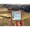 thumbnail image 7 of Nature Skin Shop Jojoba Shampoo Conditioner Bar with Rosemary, Full Size Set, 7 of 7