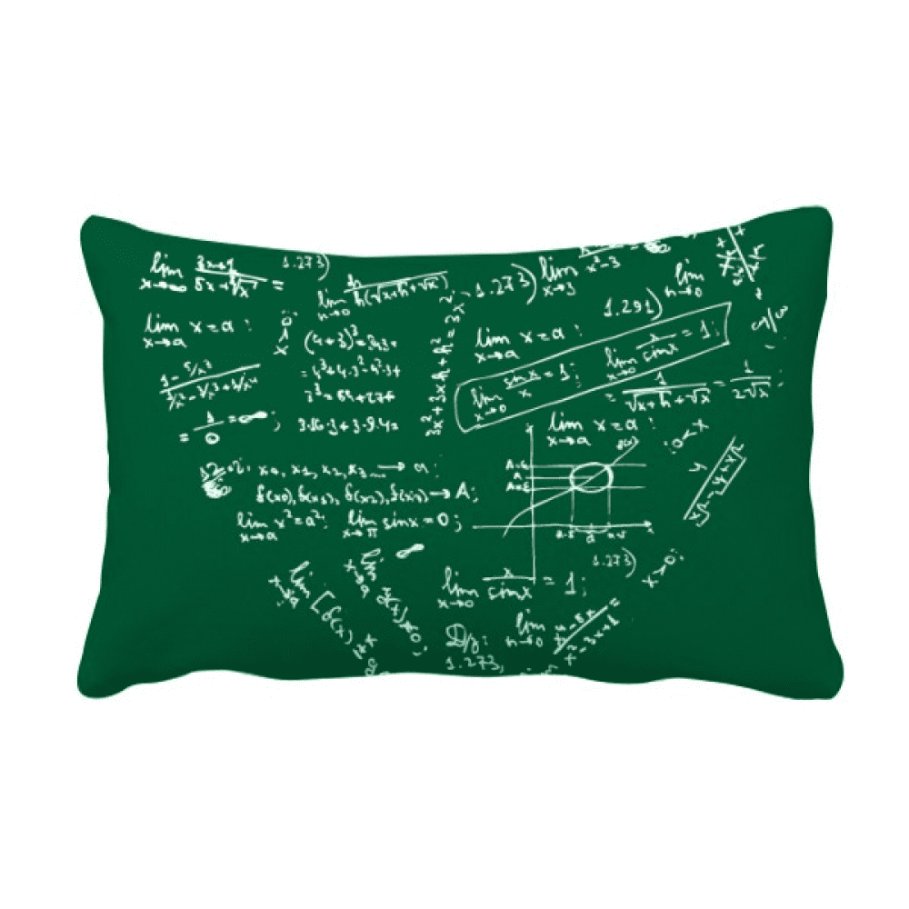 Lits Mathematical Formulas Calculus Painted Throw Pillow Lumbar Insert
