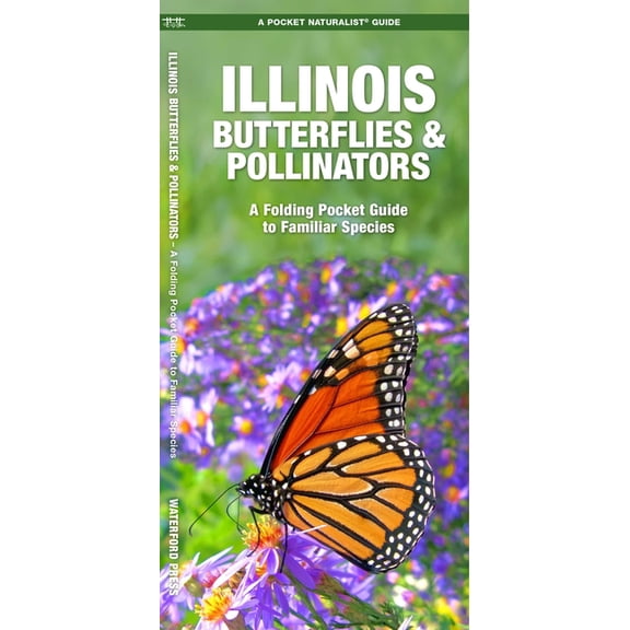 Illinois Butterflies & Pollinators : A Folding Pocket Guide to Familiar Species (Paperback)