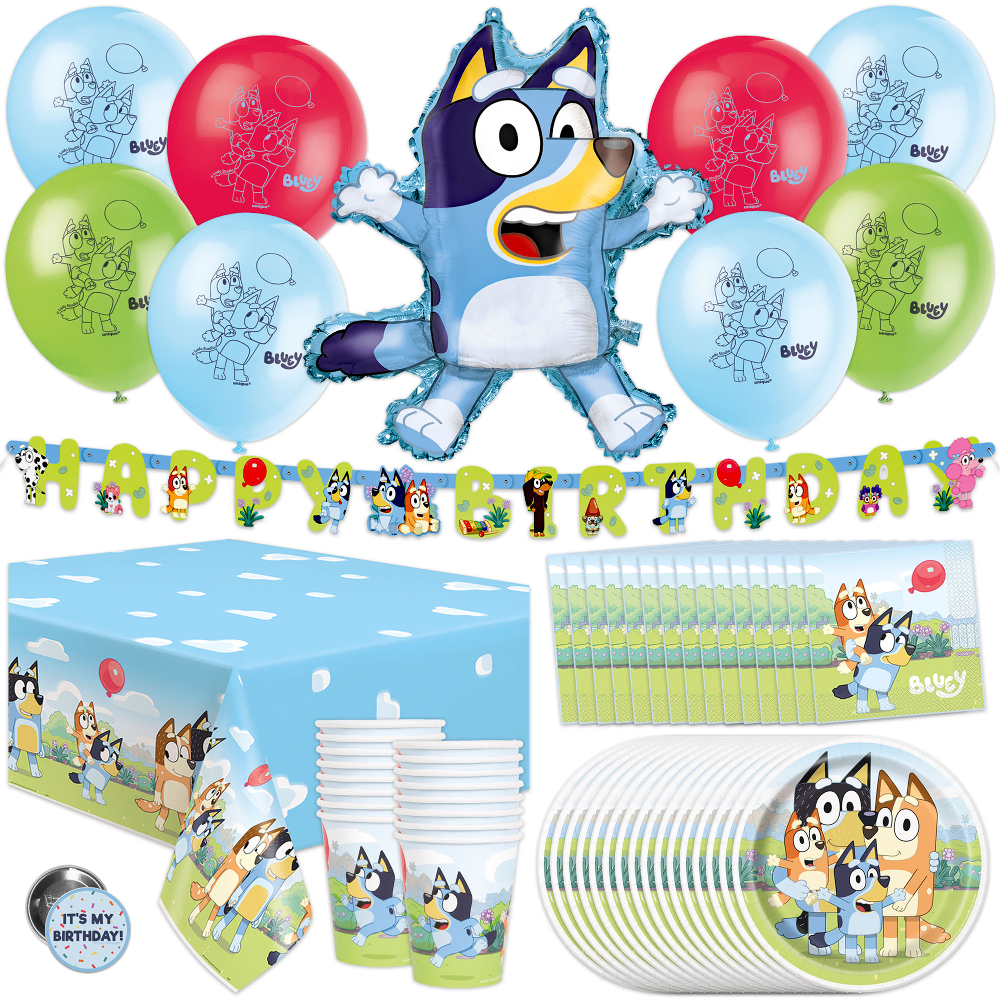 Unique Bluey Birthday Party Supplies Kit for 16 Guests photo 1