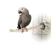 K&H Pet Products Sand Thermo-Perch Bird Cage Perch, Medium, Brown