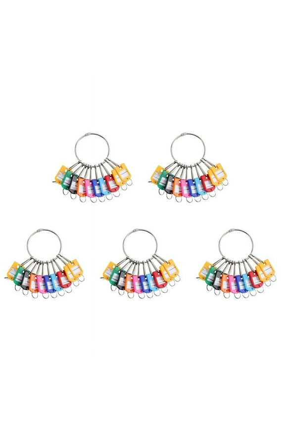 Portable Metal Ring Key Organizer with 50 Spring Hooks & Key Tags with Ring and Label Window,50 x Key Organizer,Random Color