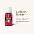 thumbnail image 5 of Mezcla de aceites esenciales Young Living Purification 15 ml, 5 of 5