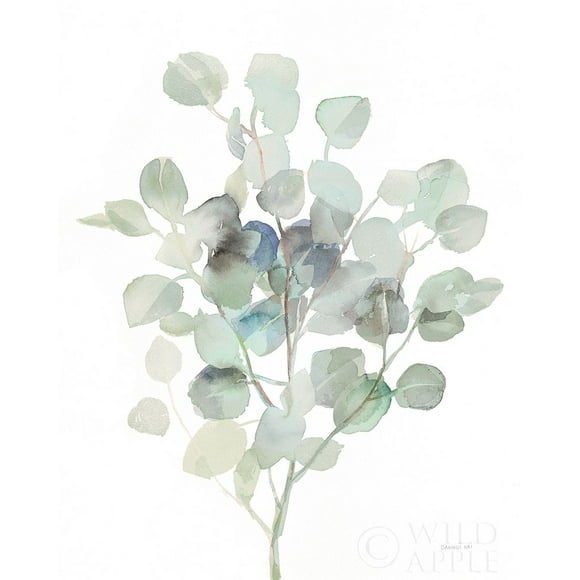 Eucalyptus III Cool Poster Print by Danhui Nai (18 x 24)