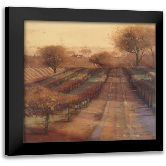 Mathenia, Paul 12x12 Black Modern Framed Museum Art Print Titled - Vineyard Vista