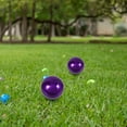 thumbnail image 3 of WHAMVOX 2 Pcs Boules de Réflexion et Décoration en Acier Inoxydable Violet pour Jardin Extérieur, 3 of 8