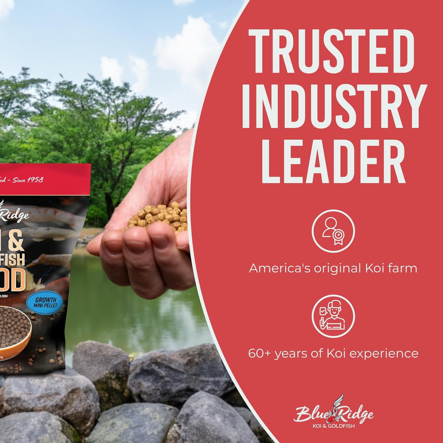 Blue Ridge Koi Fish Food 5lb - Koi Food Mini Growth Formula Goldfish Food, Premium Fish Food for Ponds, Ponds Fish Food, Koi Food Fall and Winter Fish Food, Floating Pond Pellets Fish Food
