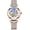 Steel Silver Rose, variant on Women's Sapphire Watches Automatic Steampunk Self Winding Mechanical Gold Bracelet Ladies Skeleton Wrist Watch Leather Strap for Ladies Famale