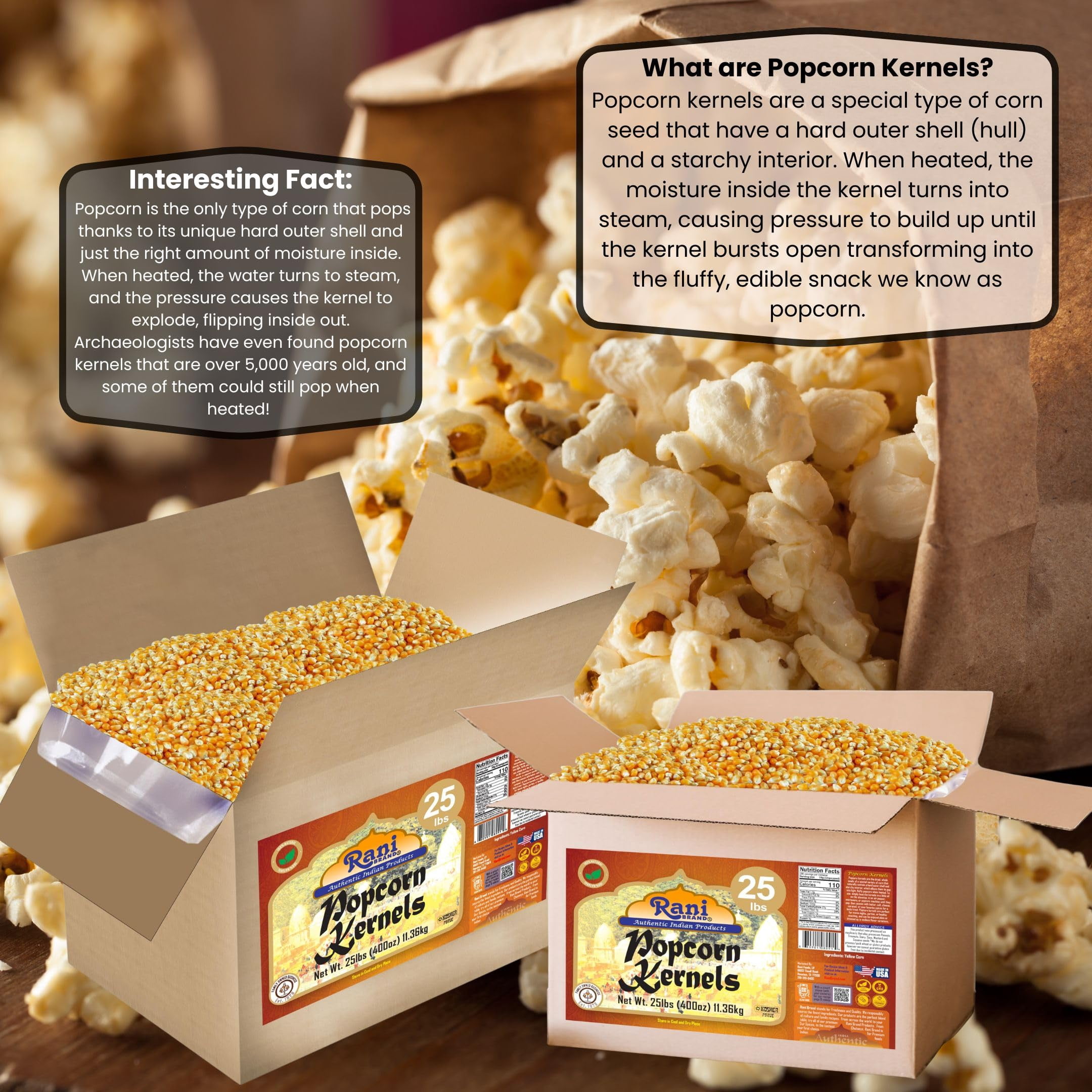 Rani Popcorn Kernels 400oz (25lbs) 11.36kg Bulk, Perfect for Stovetop, Microwave & Popcorn Machines ~ All Natural | Gluten Friendly | Vegan | NON-GMO | Kosher