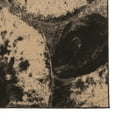 thumbnail image 3 of Linon Masters MR23 Agate Brown Rug, 3 of 5