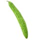 thumbnail image 4 of Artificial Cucumber Prop, Realistic Vegetable Texture, Decorative Prop for Photography, Home Decoration, High-Quality Plastic, Foldable Design, for Living Room, for Wedding Props, for Event, 4 of 8