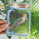 thumbnail image 1 of Película para ventanas Suncatcher, película para ventanas, película decorativa para ventanas, bloquea la luz solar, película esmerilada, fácil aplicación, material de PVC transparente, para, 1 of 9