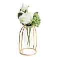 thumbnail image 1 of Desktop Glass Vase with Metal Frame，Modern Creative Hydroponics Vase Metal Flower Planter Plant Glass-Gold (9.4Inch), 1 of 7