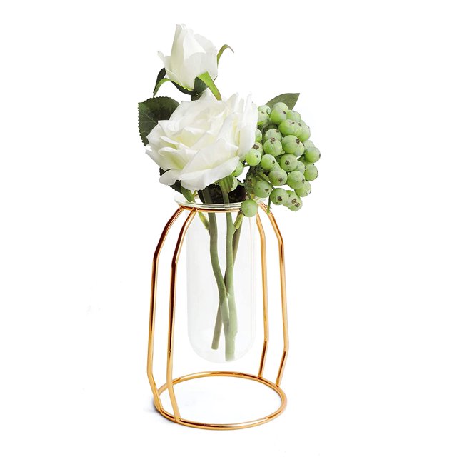 Desktop Glass Vase with Metal Frame,Modern Creative Hydroponics Vase Metal Flower Planter Plant Glass-Gold (9.4Inch)