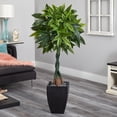 thumbnail image 4 of Nearly Natural 5? Money Artificial Tree in Black Square Planter, 4 of 5