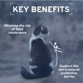 thumbnail image 4 of Forza10 Actiwet Hypoallergenic Lamb Canned Cat Food, 32 Pack Case of 3.5 Ounce Each (Lamb), 4 of 14