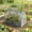 Clear, variant on 2 in 1 Raised Planter Greenhouse Galvanized Raised Garden Bed with Mini Greenhouse Cover Clear Dark Gray for Outdoor Vegetables Herbs Flowers