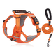 thumbnail image 1 of Pechera  Bloosom Arnés De Seguridad Para Perro Naranja Talla L, 1 of 4