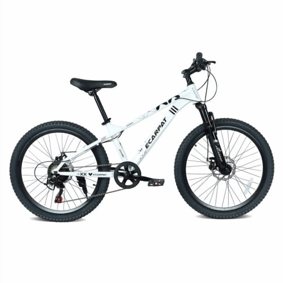 RAISTYW Women's Mountain Bike, 26 inch Low Step‑Through High‑Carbon Steel Frame Mountain Bicycle with 21‑Speed Twist Shifter, White