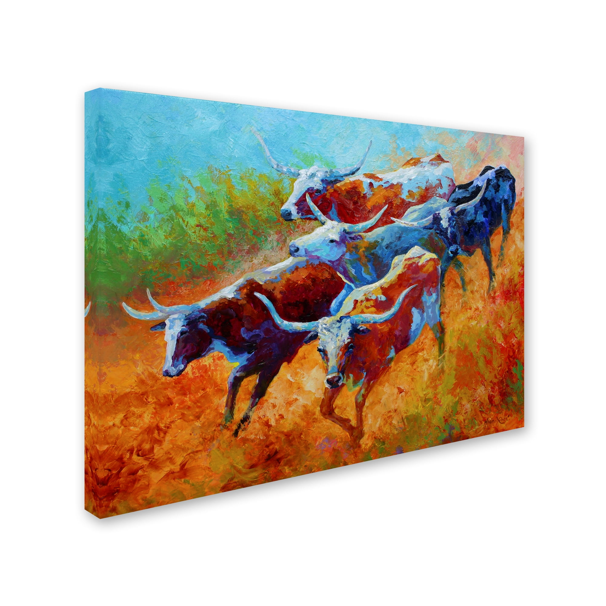 Trademark Fine Art 'Longhorns II' Canvas Art by Marion Rose