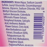 Vagisil Odor Block Daily Intimate Wash 12 Oz.,Pack of 12