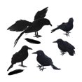 thumbnail image 1 of Conjunto de Fiesta de Cuervos Decorativos Macarena Halloween, 1 of 8
