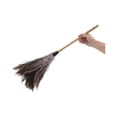 thumbnail image 6 of Boardwalk Professional Ostrich Feather Duster, 16" Handle, 6 of 7