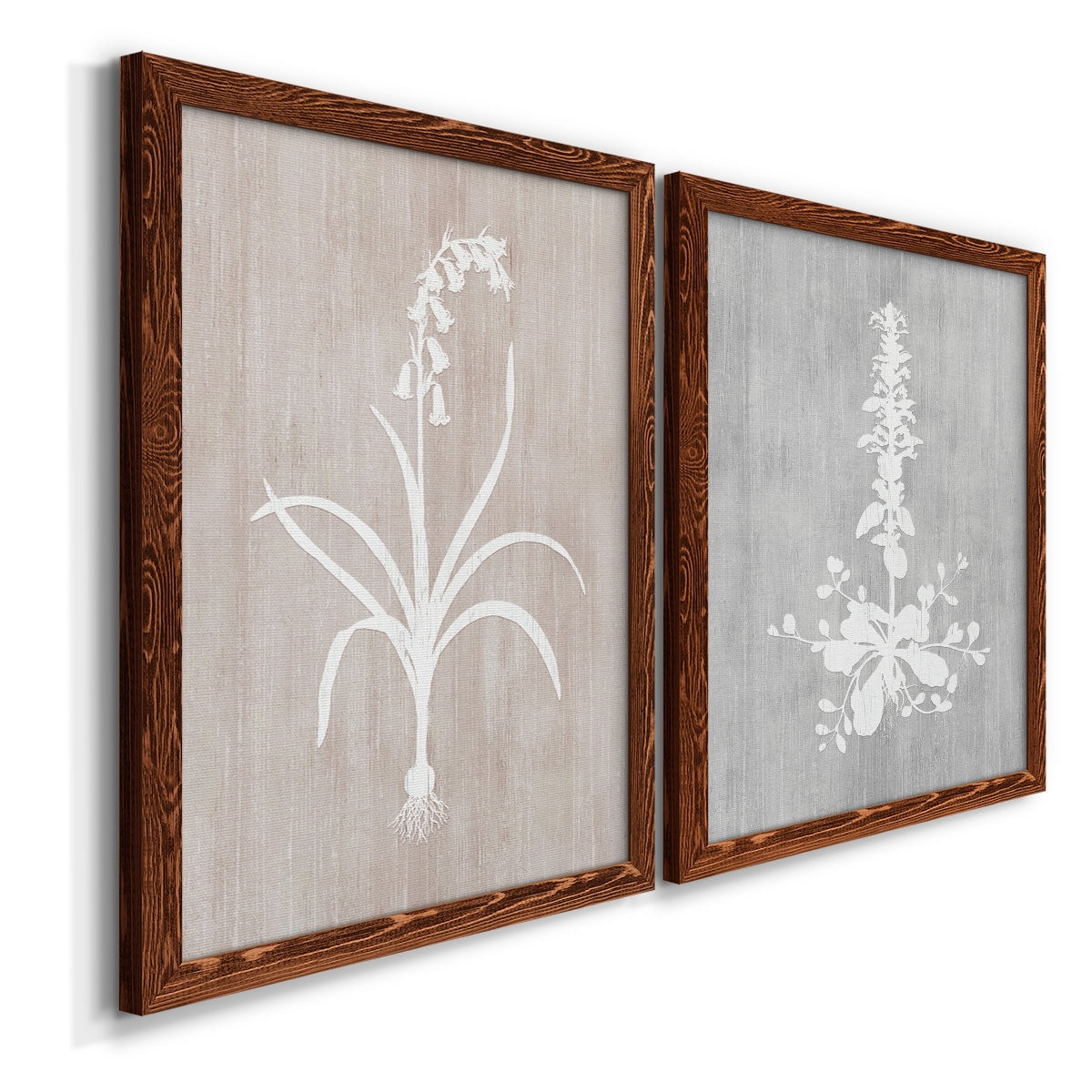 Botany Beauty I - Premium Framed Canvas 2 Piece Set - Ready to Hang