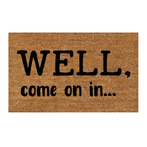 16x24 Inch Super Absorb Mud Coir Door Mats Cute Inside Front Door Mats Entrance Door Rugs Indoor Entrance Low Maintenance Welcome Mat Welcome Mats for Entryway, Porch, WELL come on in...