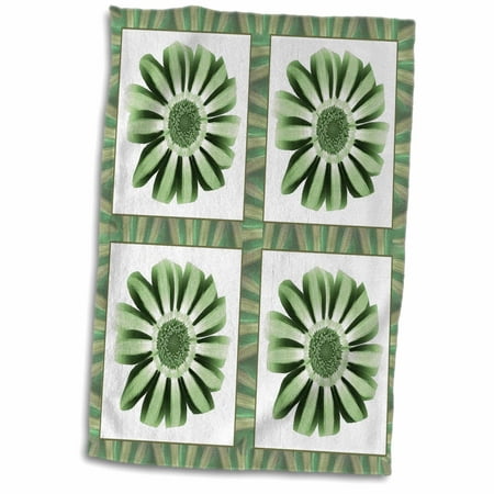 3dRose Four green striped flowers with green and sage flower petal border - Towel, 15 by (Best Green Laser For Ar 15)