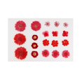 thumbnail image 2 of 1 bolsa de flores prensadas de hojas secas reales, flores prensadas de colores, margaritas para resina Rojo 19Pcs, 2 of 5