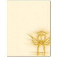 thumbnail image 1 of Sketched Angel Letterhead Laser & Inkjet Printer Paper (100 Pack), 1 of 3