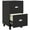 Black, variant on HOMCOM Lockable 2 Drawer File Cabinet with Hanging Bars for A4 and Letter