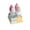 Gold/White, variant on Znet3D Eye Drops Bottle Organizer  Tracker – AM/PM 4-Slot