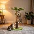 thumbnail image 5 of Cat Scratching Post Tall Vertical for Indoor Cats, Palm Tree Leaves Sisal Pole for Large Cats Kittens, Coconut Toy Wrapped in Rope, 5 of 5