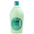 thumbnail image 1 of Champú específico para cabello graso Salerm Cosmetics by Sleekshop 36.1 oz / litro con peine de burlas, 1 of 1