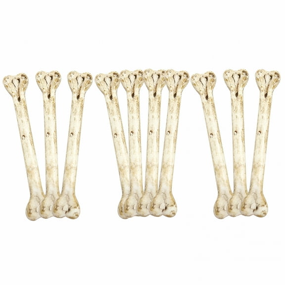 BESTSKY 20 Pcs Toy Plastic Human Bone Fake Bone for Halloween Halloween Props Fake Skeleton Bone Plastic Bones Model Fake Bone
