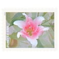 thumbnail image 4 of Garden Beauty Forever USPS Postage Stamps Book of 20 US Postal First Class Wedding Celebration Anniversary Flower Party (20 Stamps), 4 of 6