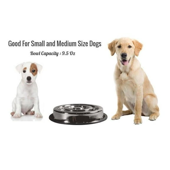 Indipets 800085 Spiral Slow Feed Bowls 9.5 Oz